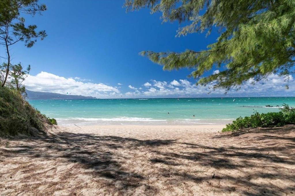 Unit 12 Maui Ohana Modern Studio Wailuku Екстер'єр фото